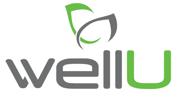Klienci Eurofiscalis logo Wellu