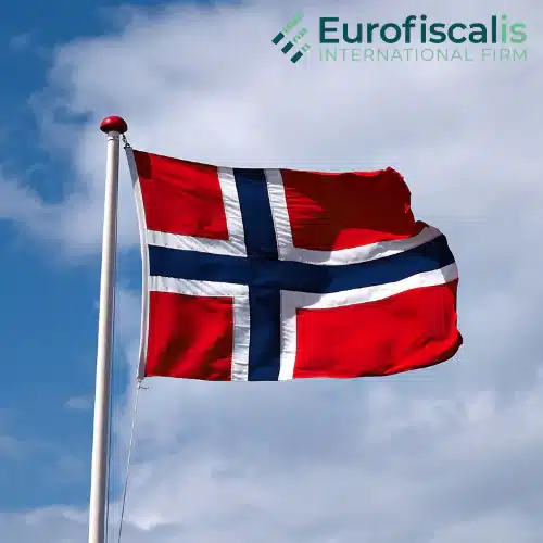 tax return norway norwegian tax return tax norway vat form norway vat norway tax form norway norway tax consultant